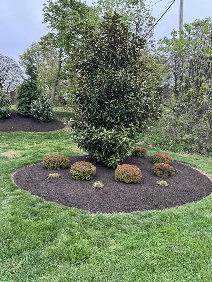 commercial-mulch-landscaping