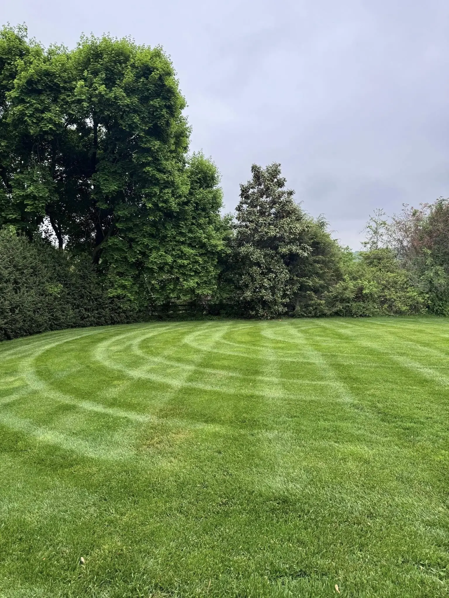 local lawn mowing company bel air md