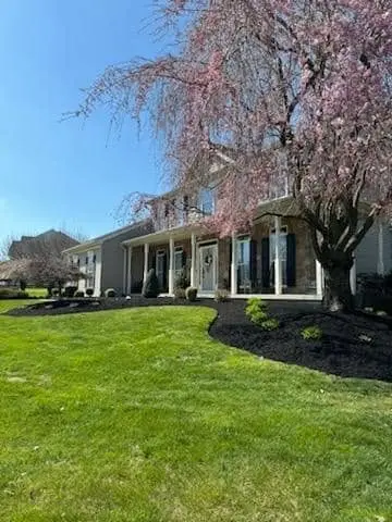 naturescapes unlimited landscaping services