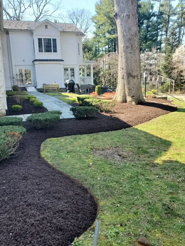 naturescapes unlimited landscaping services