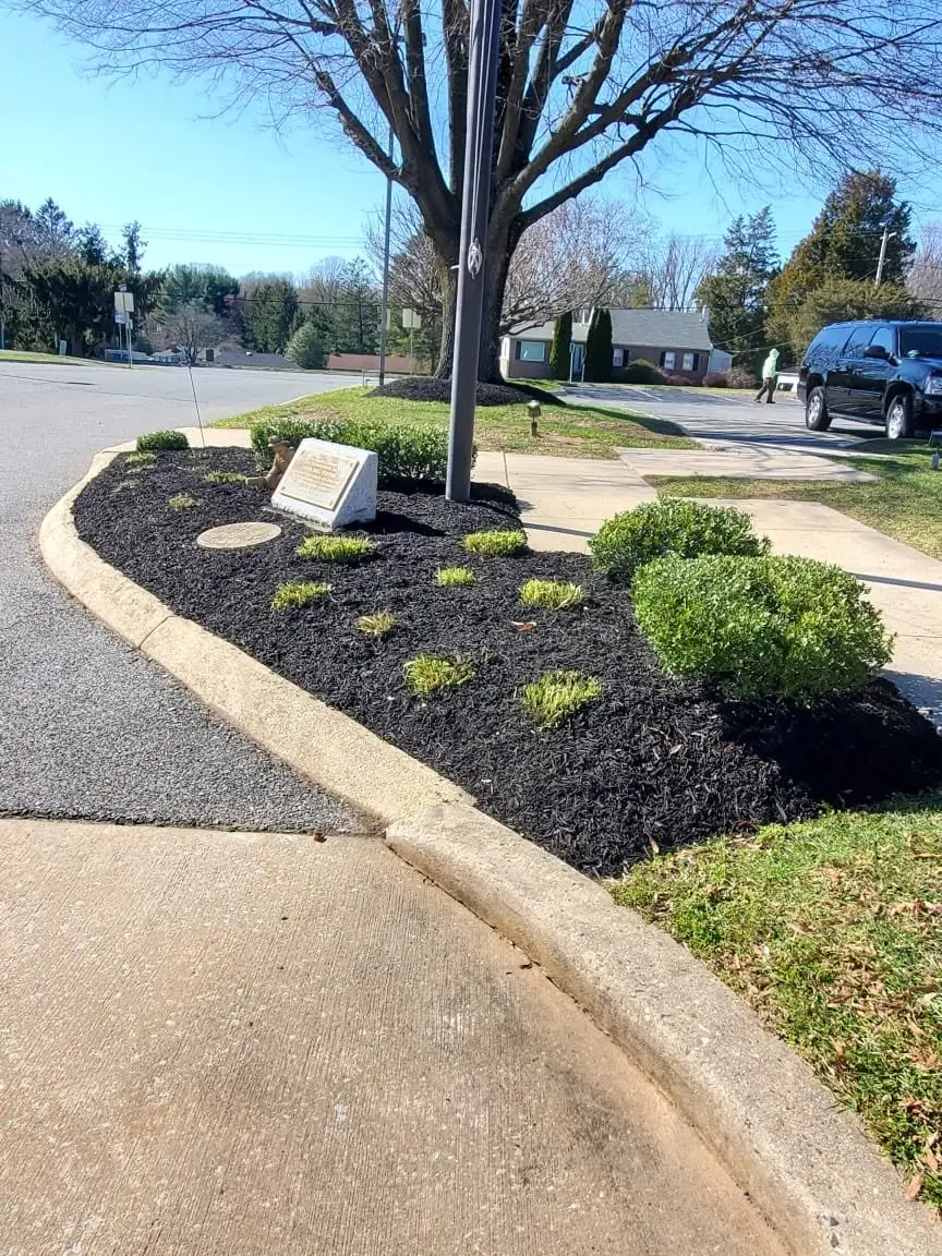 naturescapes unlimited landscaping services