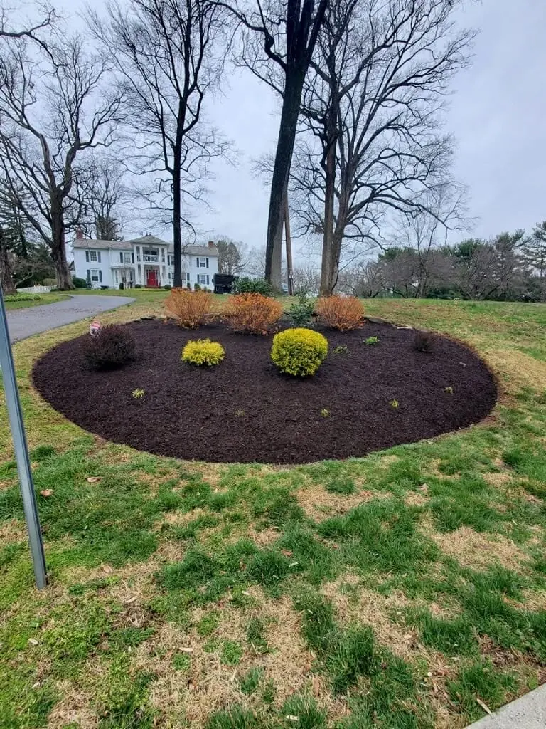 naturescapes unlimited landscaping services