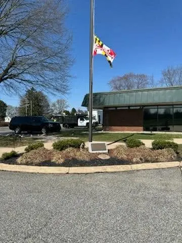 naturescapes unlimited landscaping services