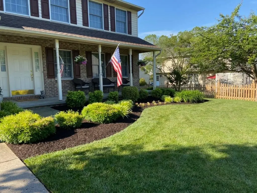 naturescapes unlimited landscaping services