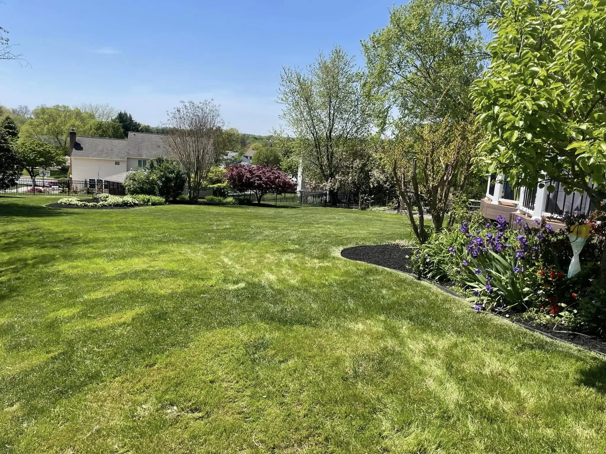 naturescapes unlimited landscaping services