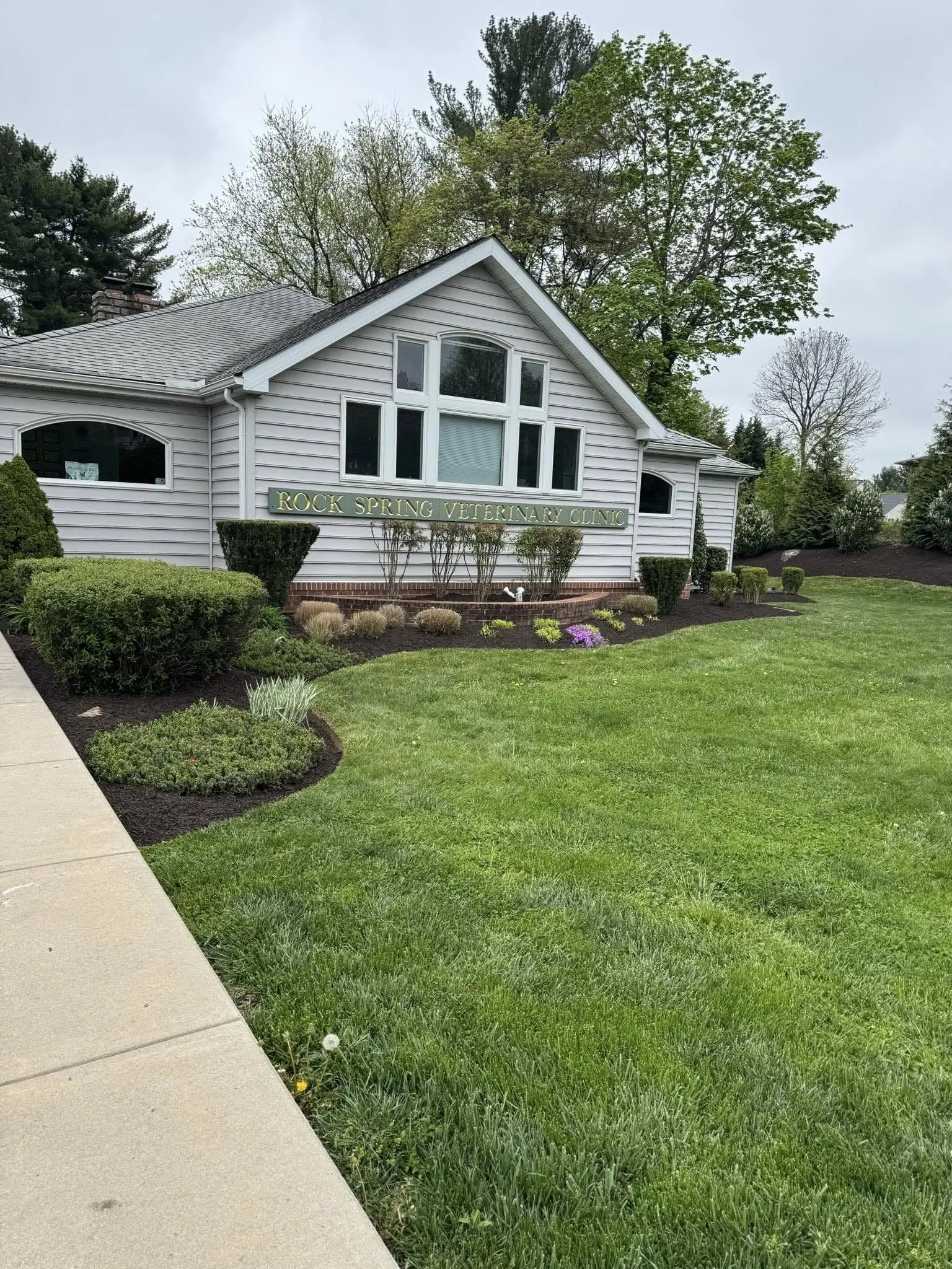 naturescapes unlimited landscaping services