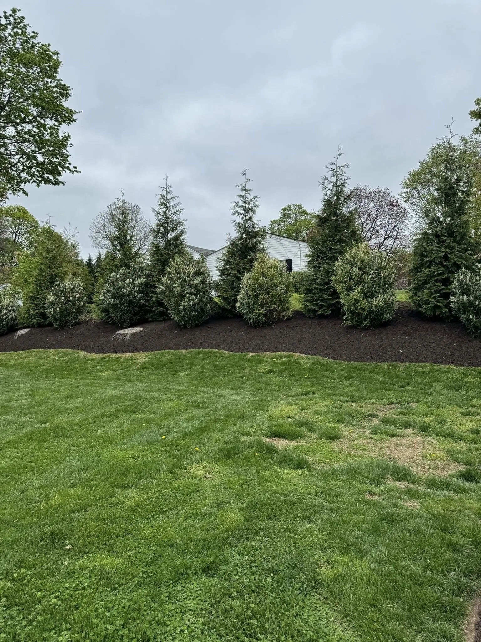 naturescapes unlimited landscaping services