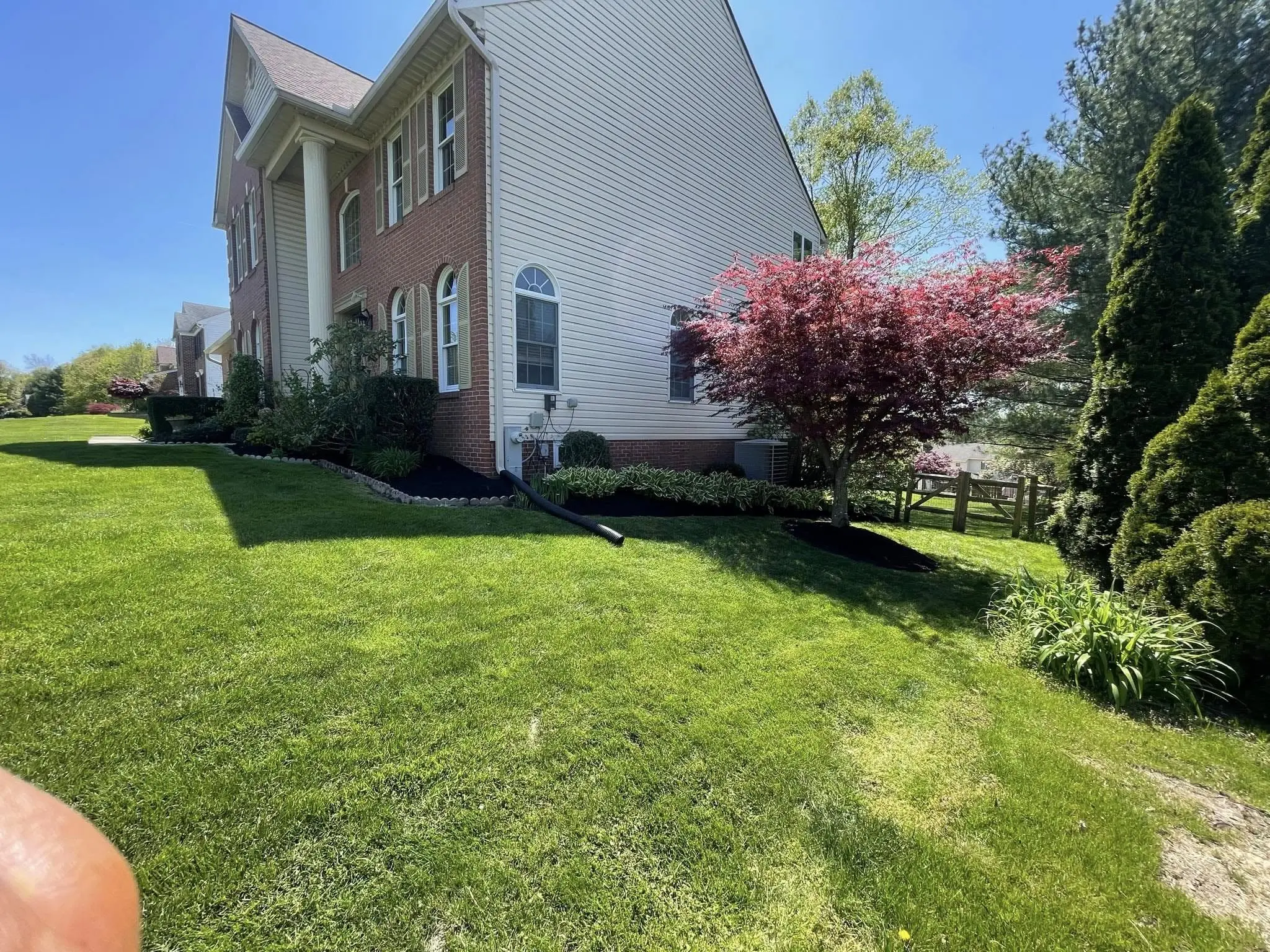 naturescapes unlimited landscaping services