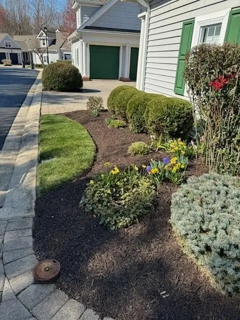 naturescapes unlimited landscaping services