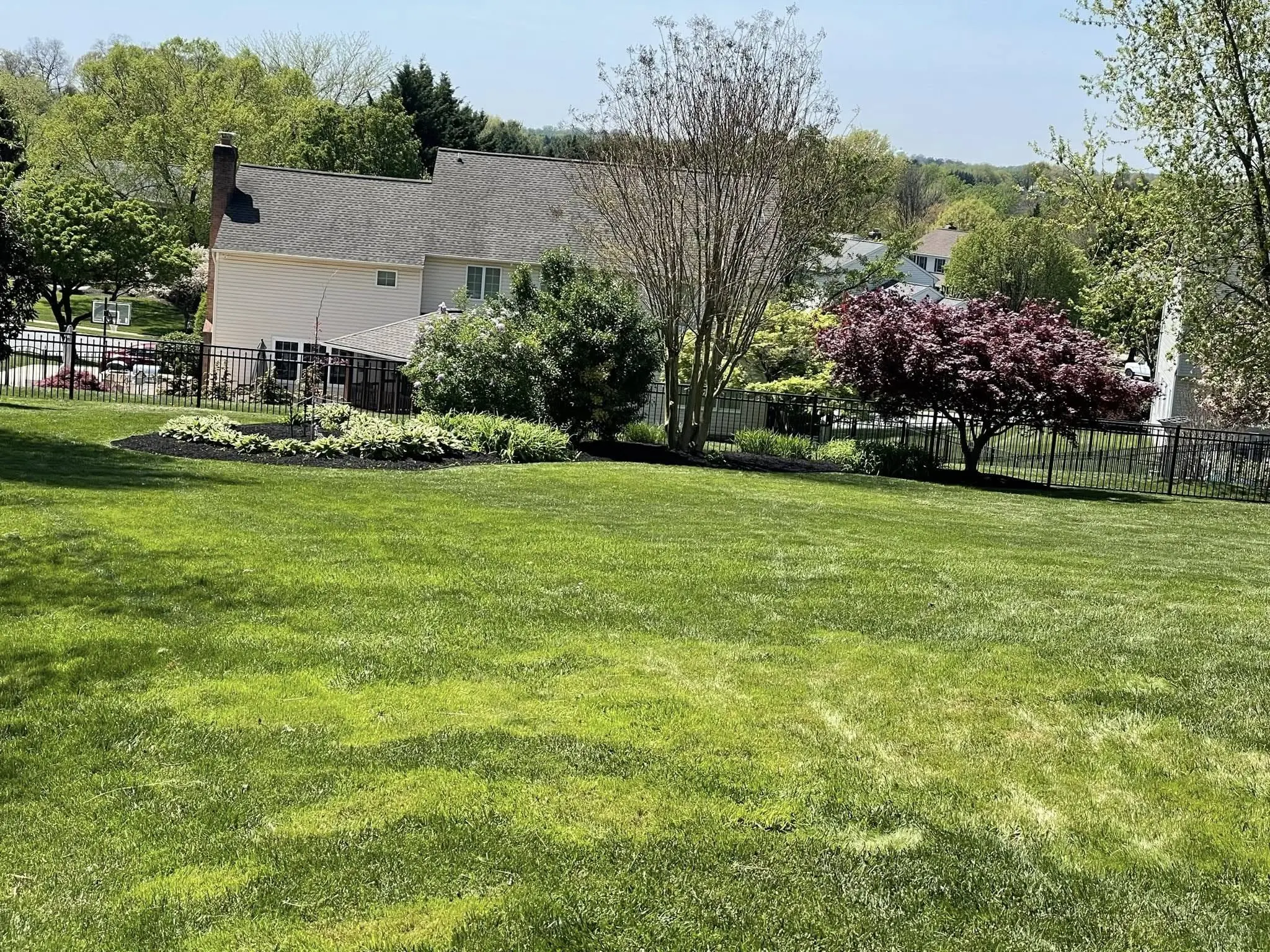 naturescapes unlimited landscaping services