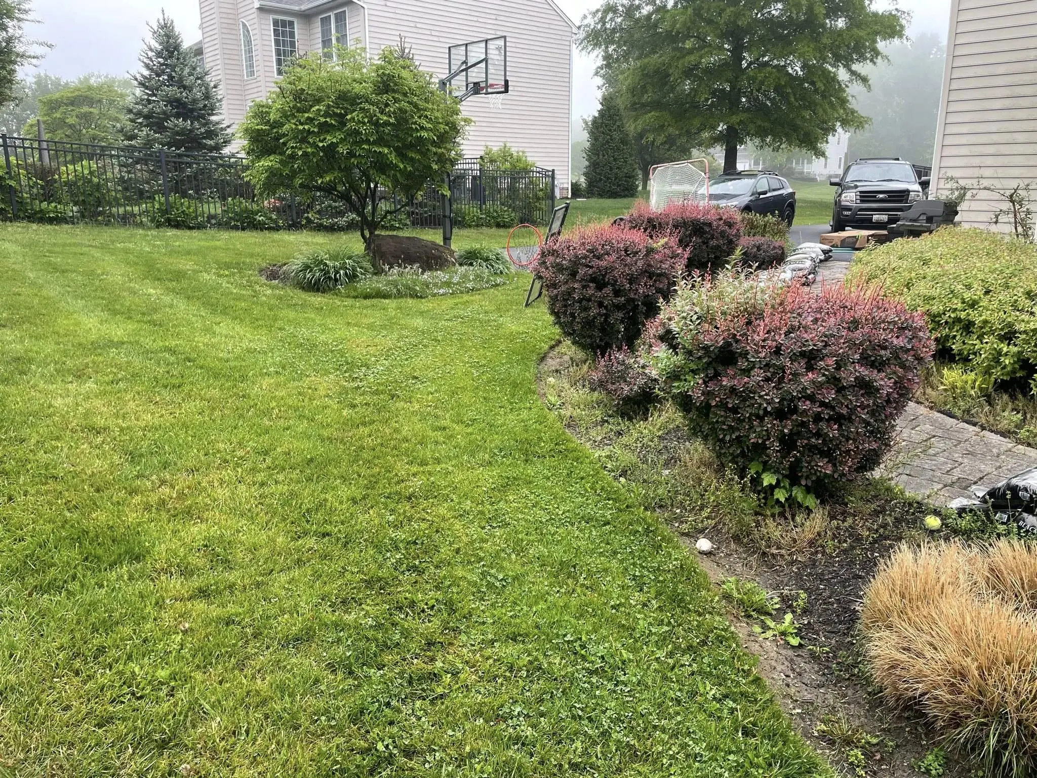 naturescapes unlimited landscaping services