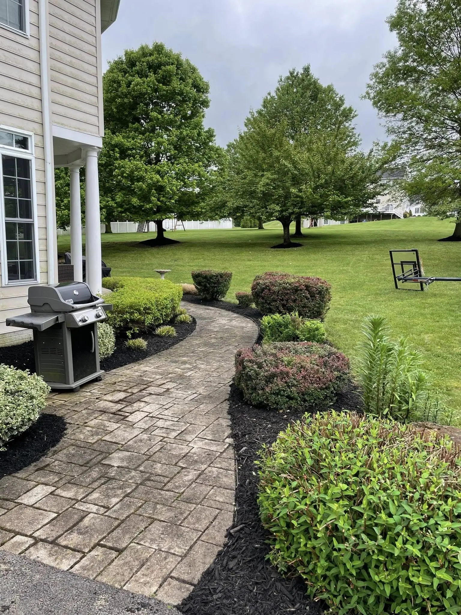 naturescapes unlimited landscaping services