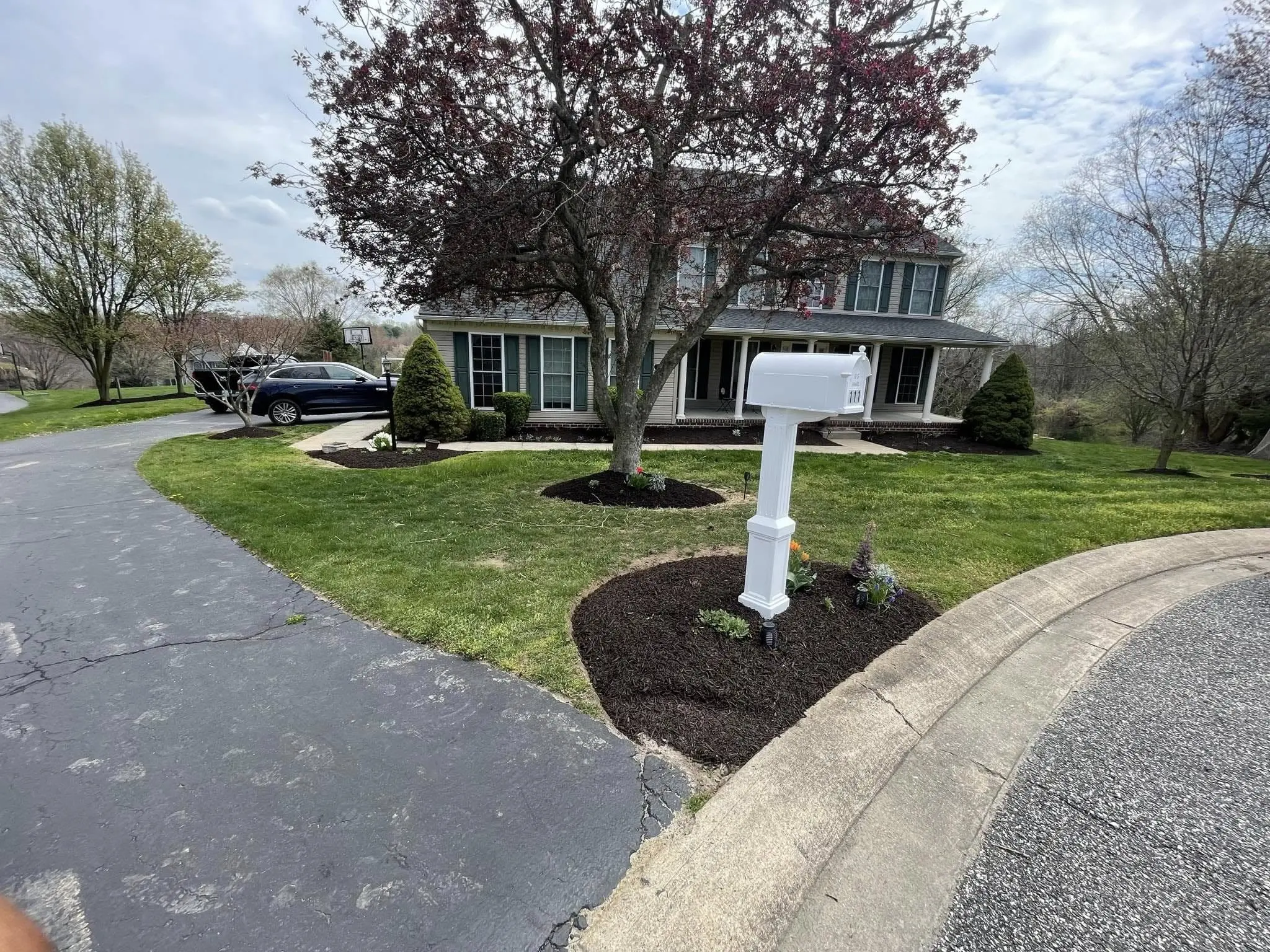naturescapes unlimited landscaping services
