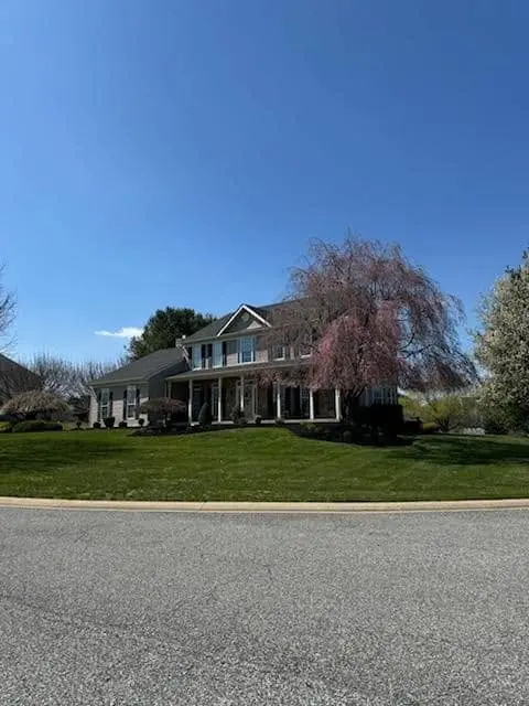 naturescapes unlimited landscaping services