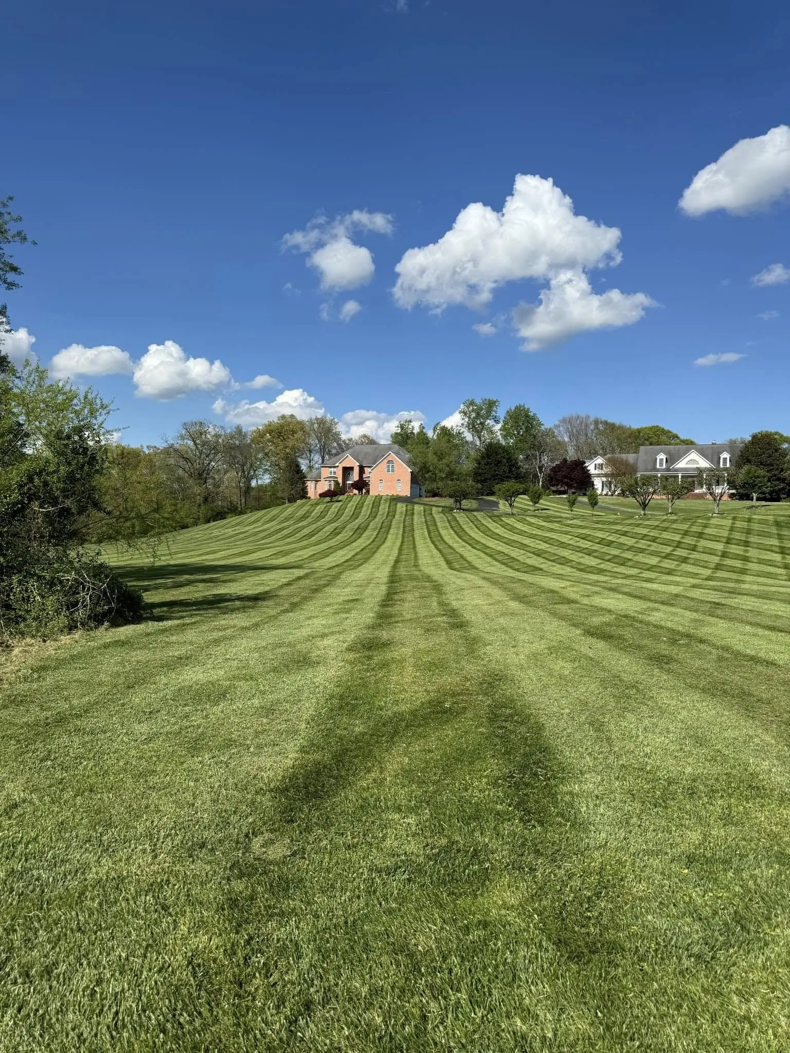 residential-landscaping-company-bel-air